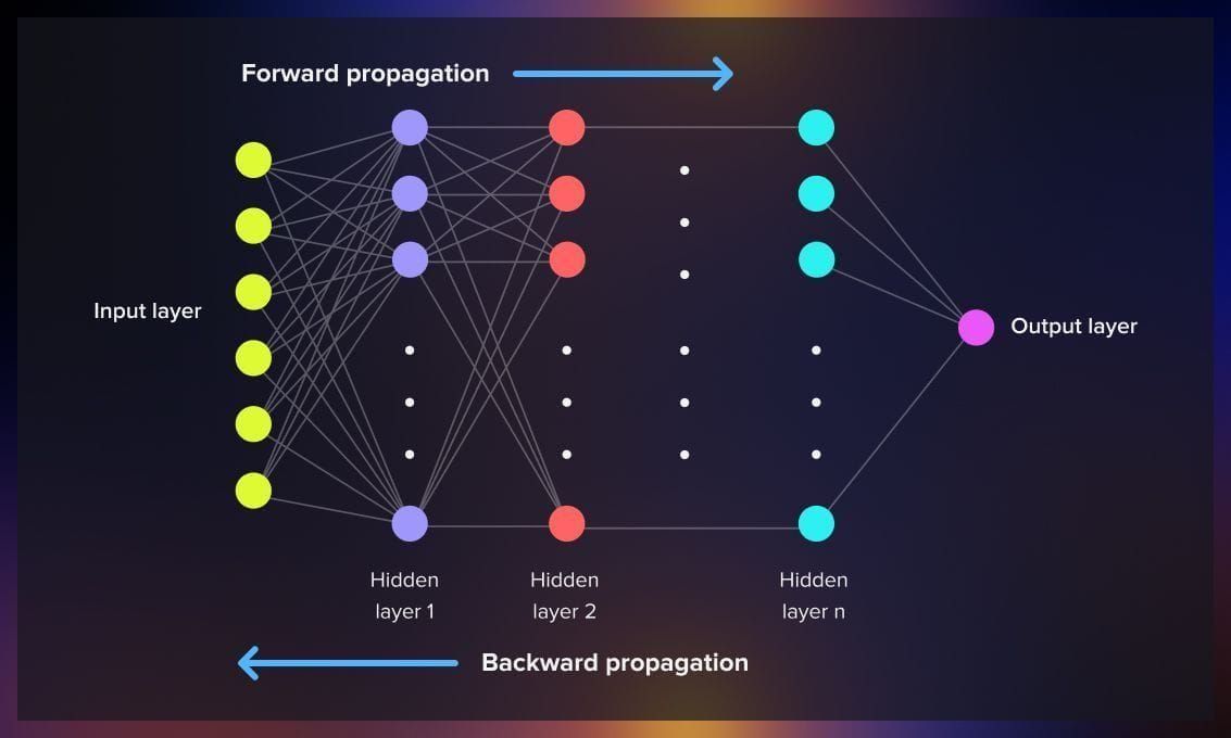 Forward and backward propagation
