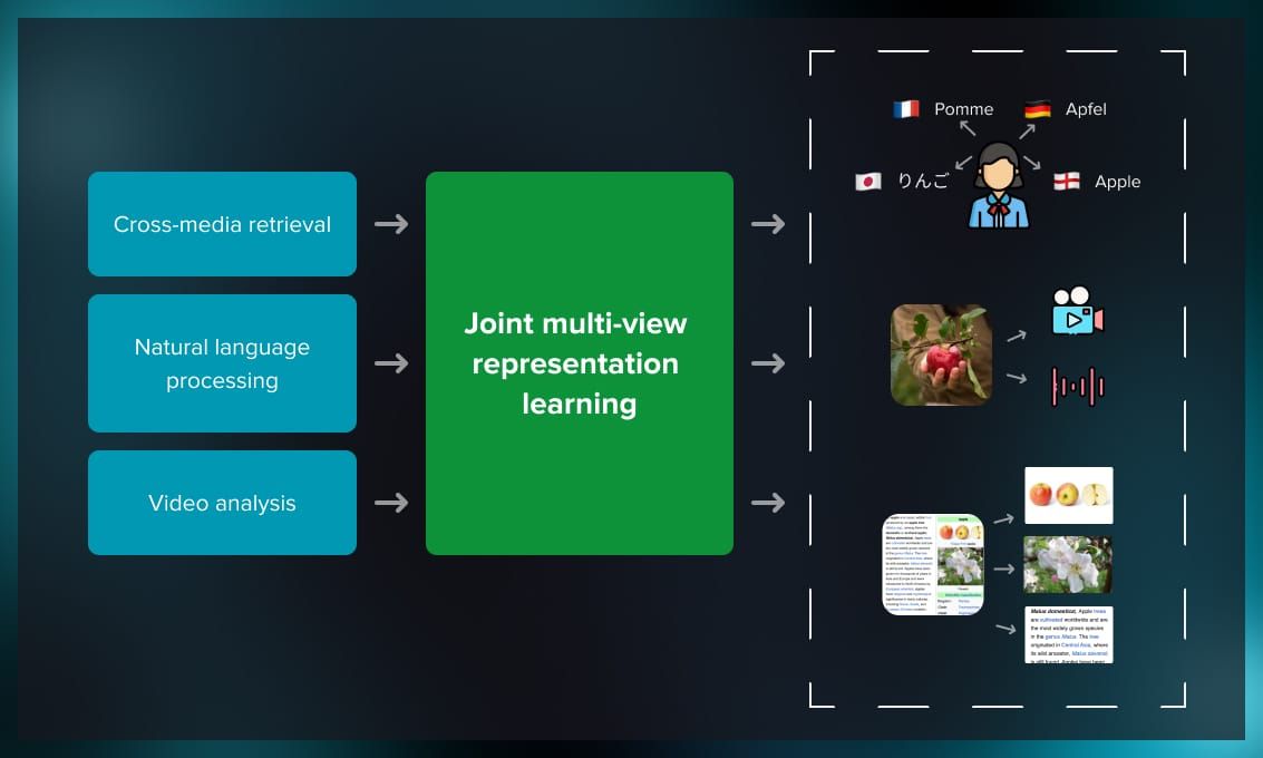 Multi-view learning_pic4.jpg